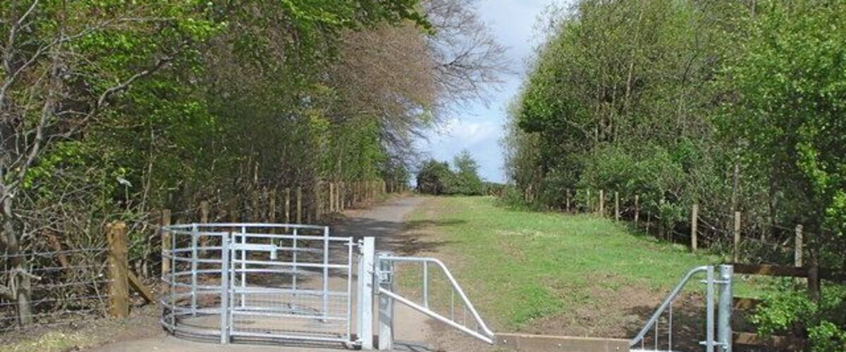 A gated rural path with metal gates and wooden fences.