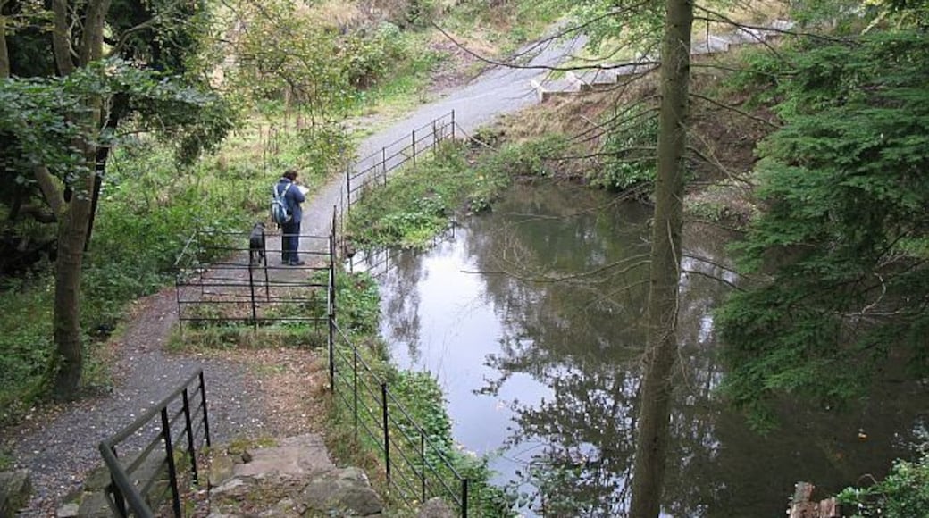 Pond, Bush Estate A small burn has been dammed. There are ornamental paths here.