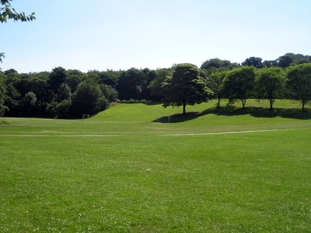 Springhead Park playing fields