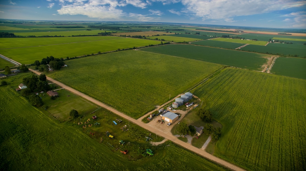 Aerial Shot of Farm