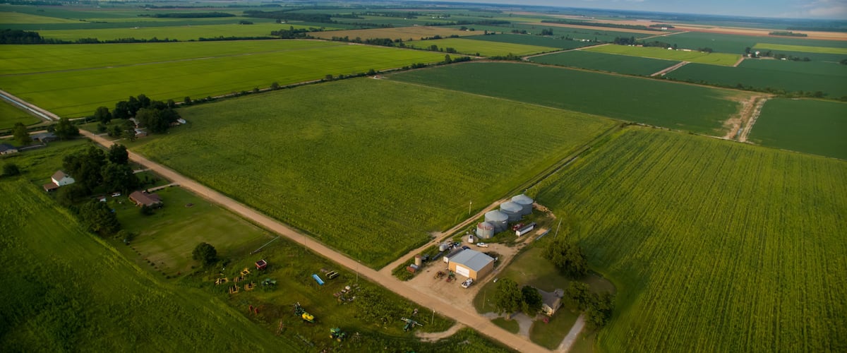An aerial view of a rural landscape with expansive green fields, a small cluster of buildings, and a dirt road.