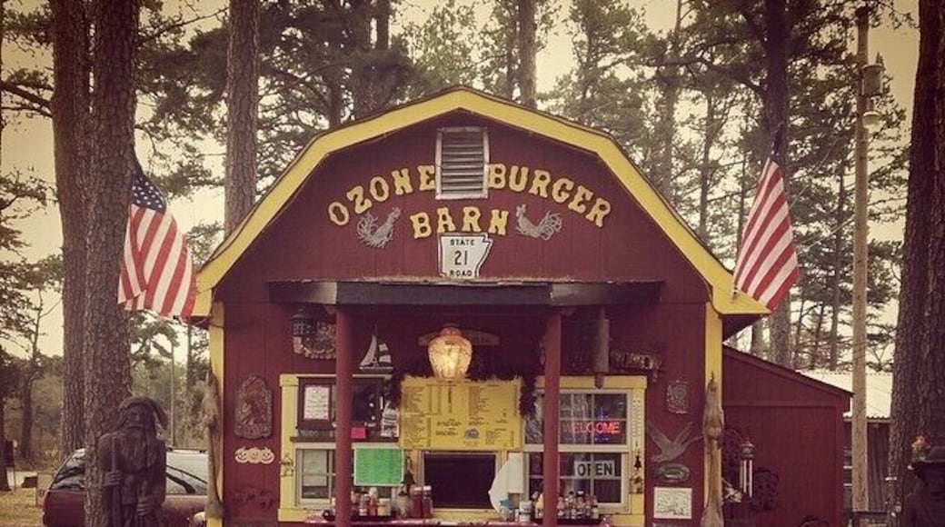 This is the Ozone Burger Barn. They have the best burgers. It is really the only thing in Ozone.