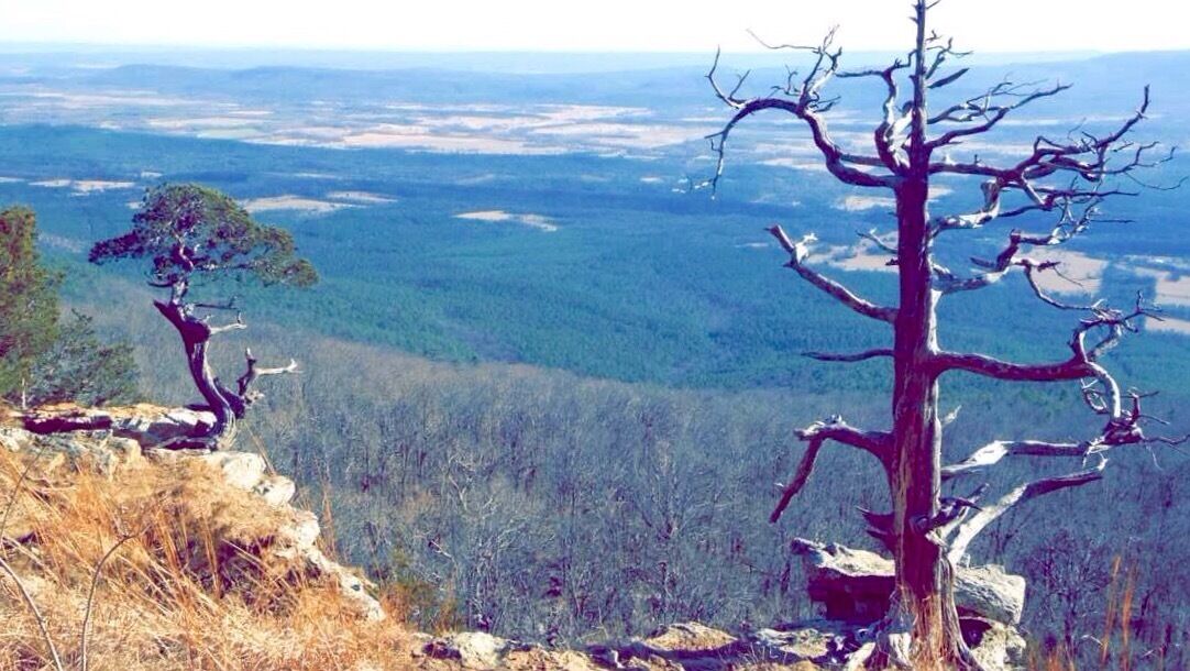 Awesome view in front of the lodge. You need to go down to the cliff but it's well worth it. 