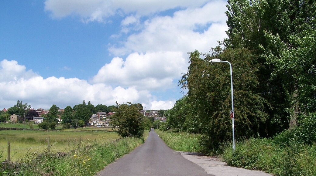 Black Lane, Loxley Valley, Sheffield. Black Lane runs from Loxley Road and gives access to the Olive Mill area and Low Matlock Lane. Loxley Chase Farm is visible on the upper left side ... see 1709930 1709975