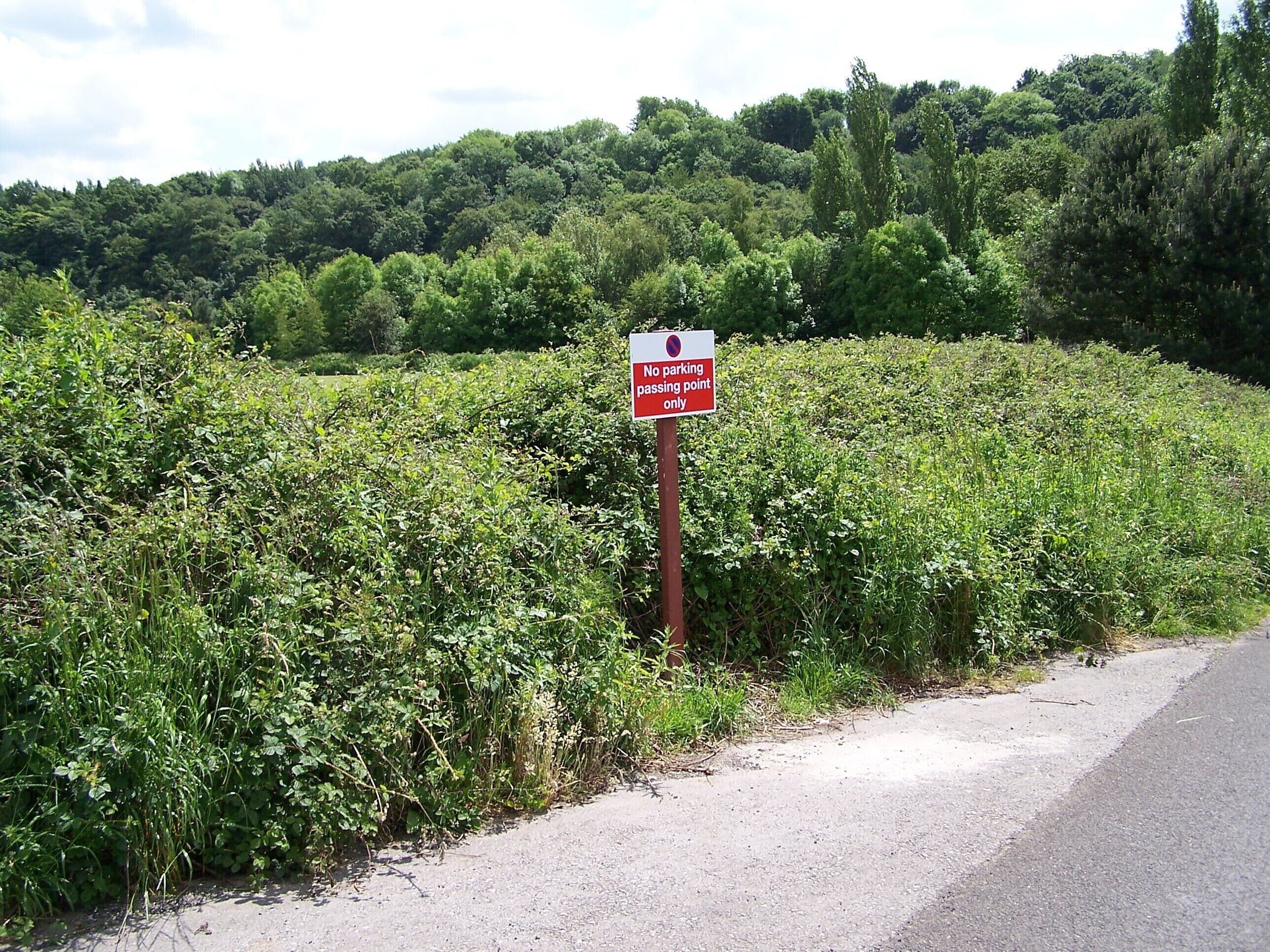 Passing Point, Black Lane, Loxley Valley, Sheffield 1709966