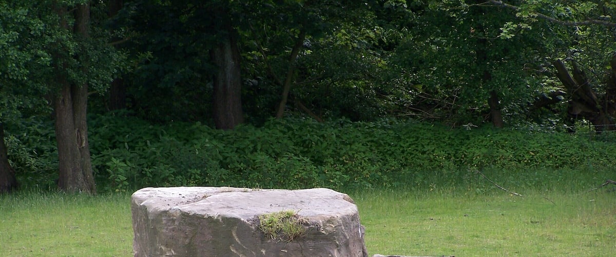 A group of sheep resting near a large rock in a grassy field with trees in the background.