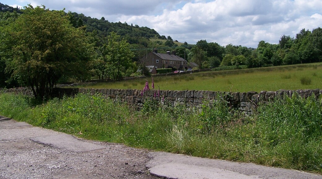 Olive Terrace from Black Lane, Loxley Valley, Sheffield - 2 1024767 1024774