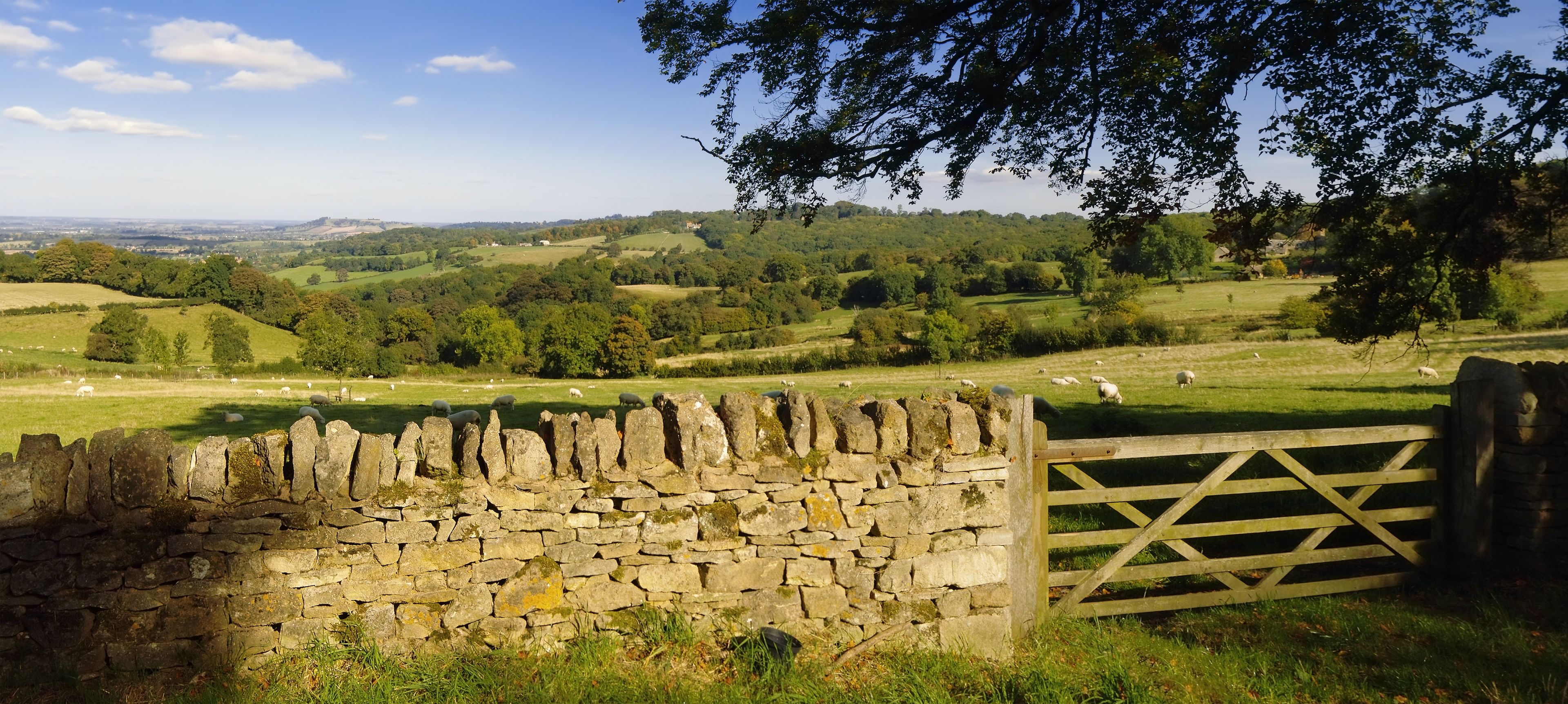 Oaksey