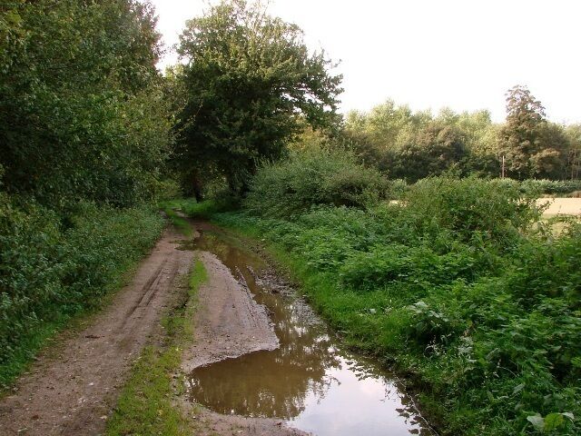 Footpath north of Hills and Holes The footpath runs east for 1.5km from the edge of Hockham Hall park down to the B1111. Hills and Holes, Forestry Commission woodland, lies on the left on the south of the track.