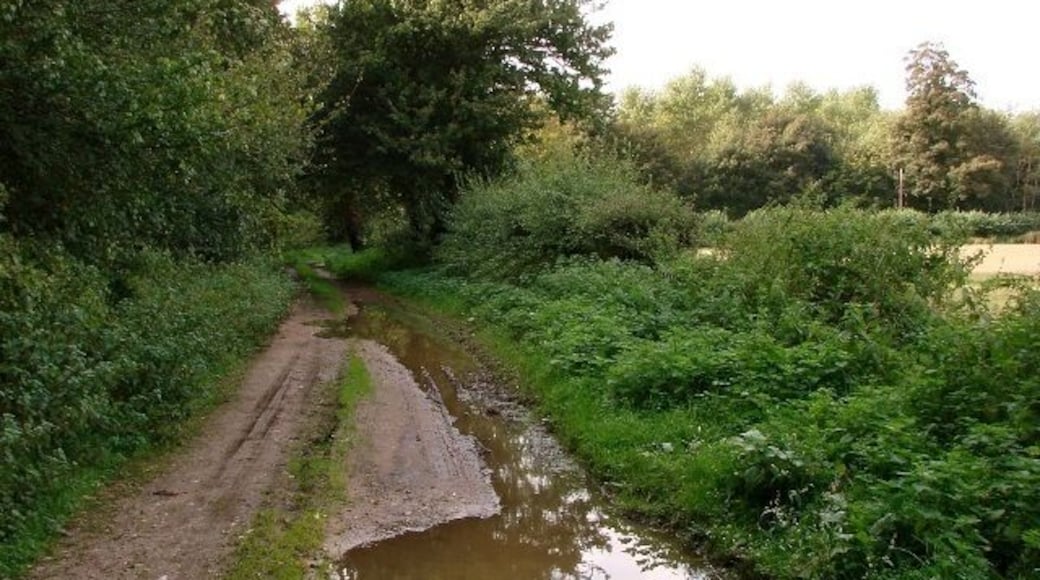 Footpath north of Hills and Holes The footpath runs east for 1.5km from the edge of Hockham Hall park down to the B1111. Hills and Holes, Forestry Commission woodland, lies on the left on the south of the track.