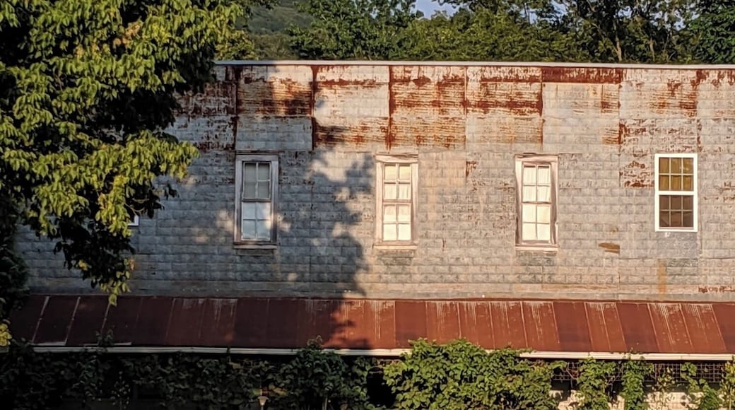Abandoned General Store in Parthenon, AR #abandonedplaces #arkansas #ozarks