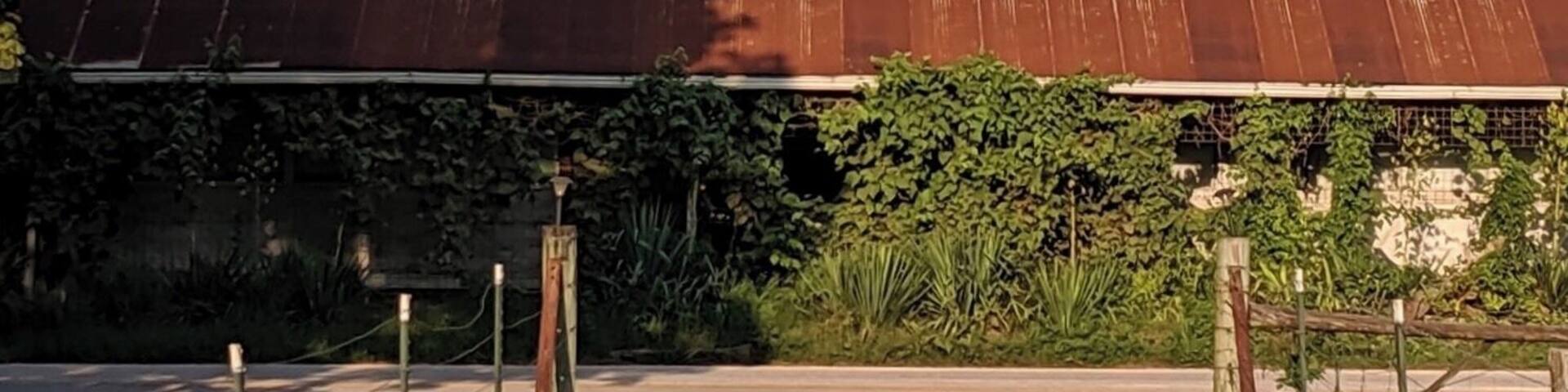 Abandoned General Store in Parthenon, AR #abandonedplaces #arkansas #ozarks