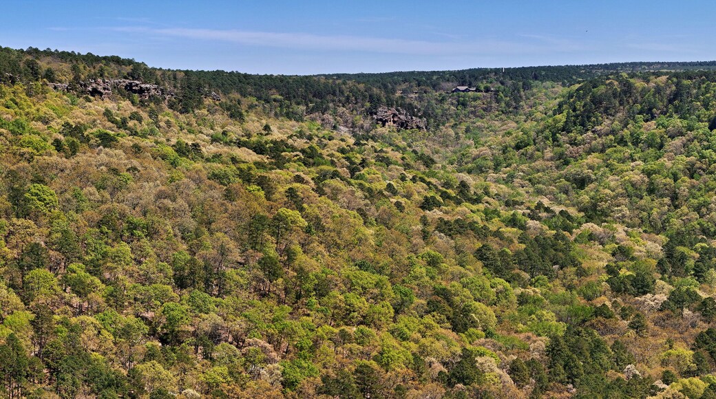 Panoramic view of Petit Jean State Park in Arkansas looking East up the valley toward the Mather Lodge in the distance