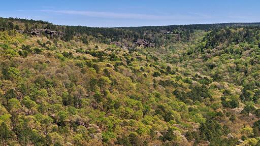Panoramic view of Petit Jean State Park in Arkansas looking East up the valley toward the Mather Lodge in the distance