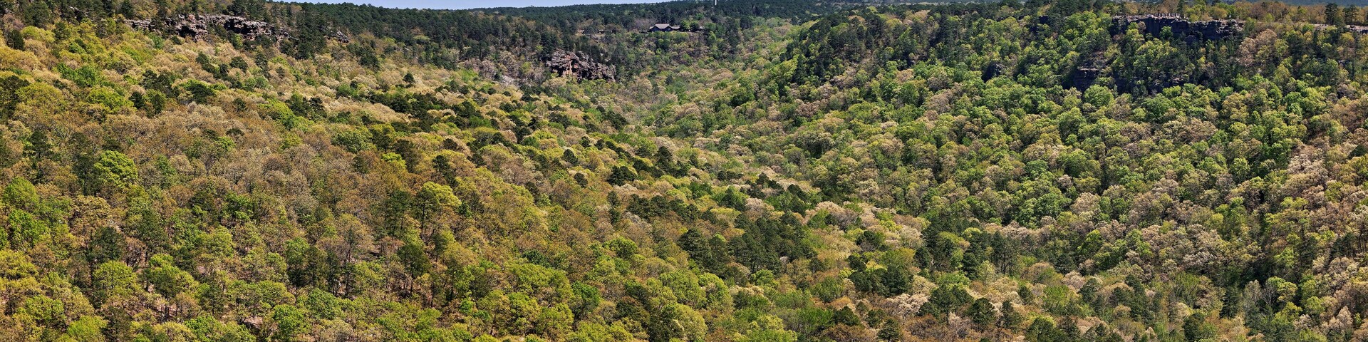 Panoramic view of Petit Jean State Park in Arkansas looking East up the valley toward the Mather Lodge in the distance
