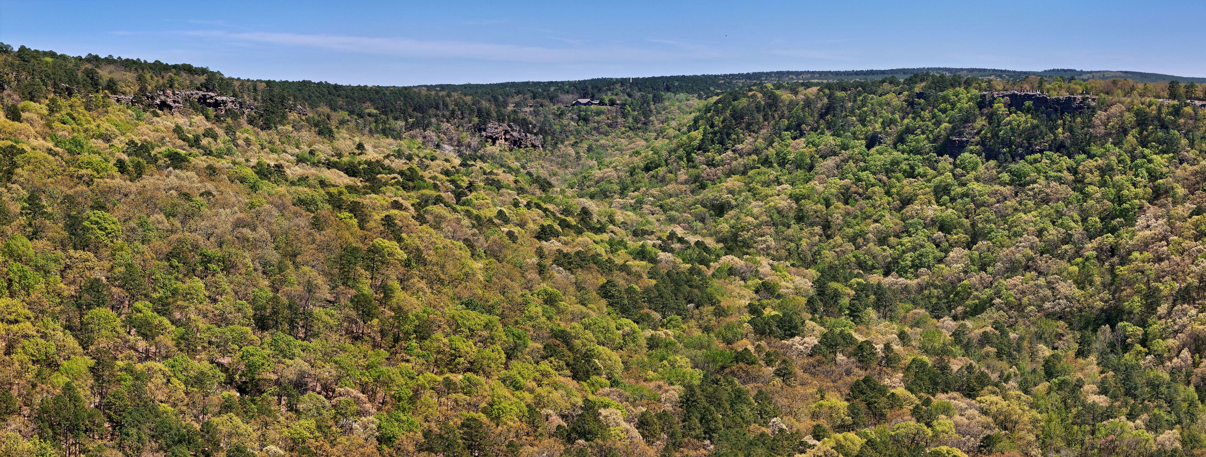 A dense forested mountain range with rocky outcrops and a clear sky.
