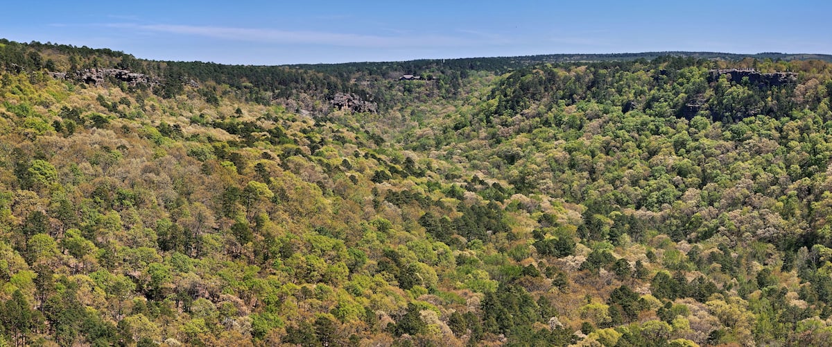 A dense forested mountain range with rocky outcrops and a clear sky.