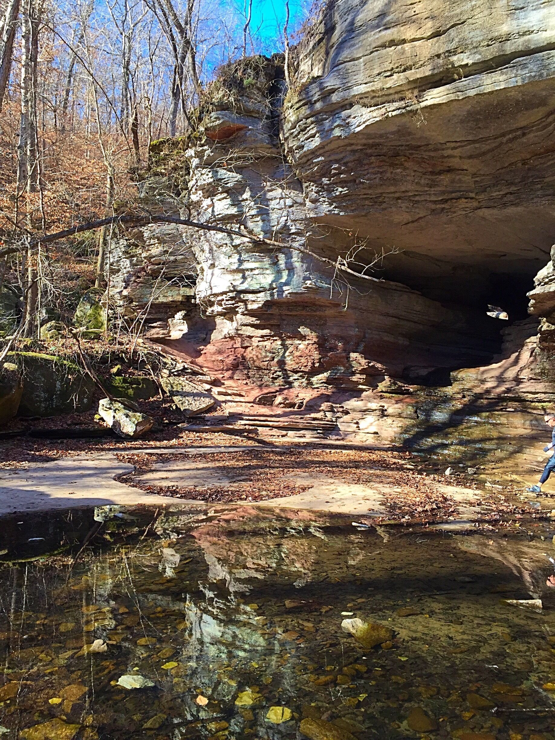 The Ozarks have some beautiful places to explore. Today I went hiking today at Lost Valley in Arkansas. The caves were awesome to see. Definitely a gem of a place and must go back again SOON! #chillyday #caves #hikingtrails #lostvalley #arkansas #ozarks #nature #optoutside #waterfallsandponds #magentasfire🔥