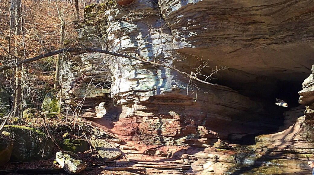 The Ozarks have some beautiful places to explore. Today I went hiking today at Lost Valley in Arkansas. The caves were awesome to see. Definitely a gem of a place and must go back again SOON! #chillyday #caves #hikingtrails #lostvalley #arkansas #ozarks #nature #optoutside #waterfallsandponds #magentasfire🔥