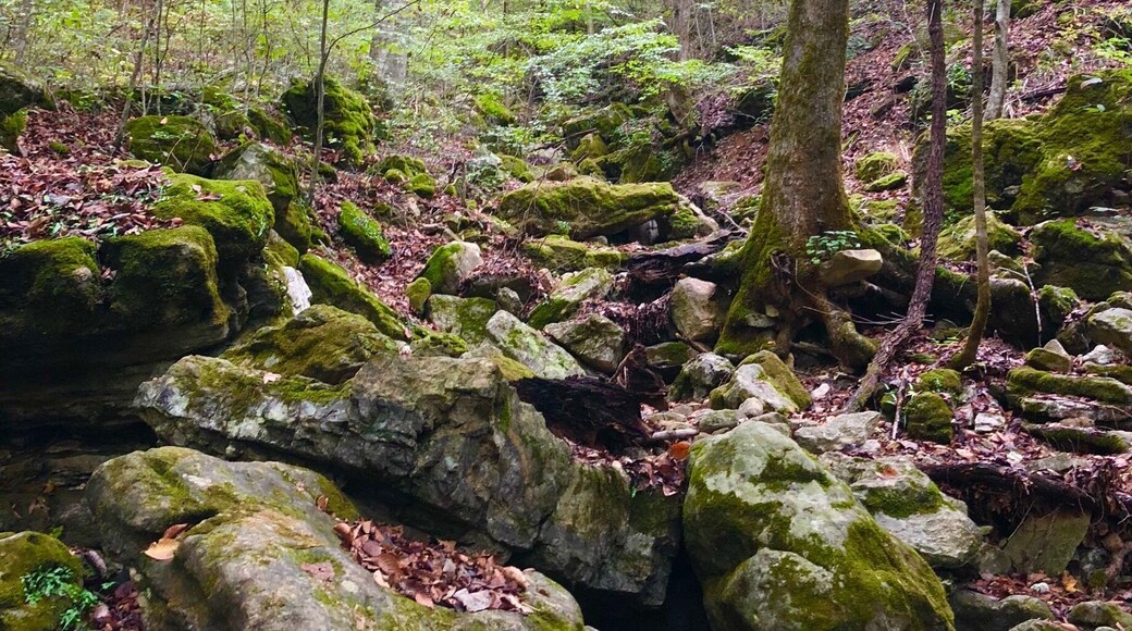 This was a gorgeous hike.