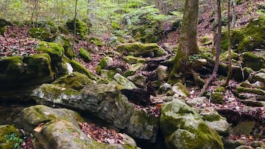 This was a gorgeous hike.