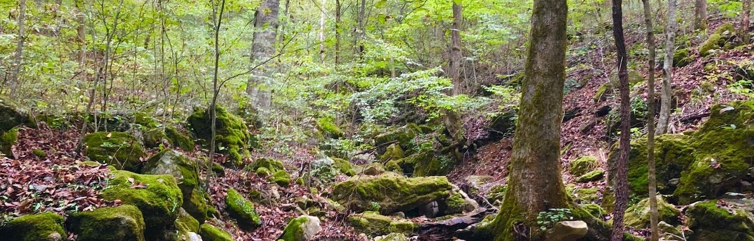 This was a gorgeous hike.