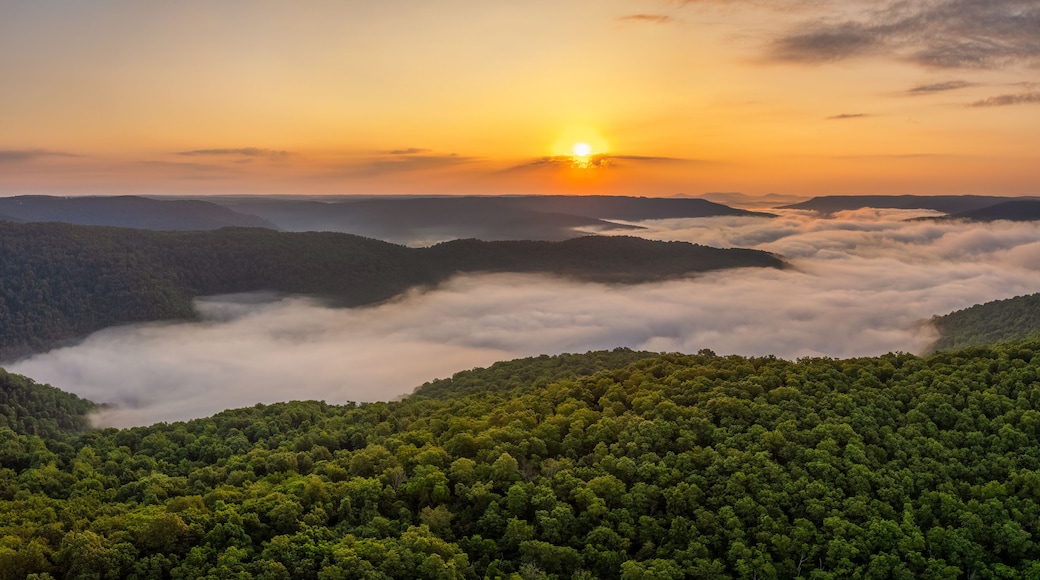 A foggy sunrise over the Arkansas Ozark Mountains - Calftail Cut on Hightway 43 near Centerpoint