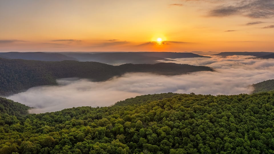 A sunrise over a forested mountain range with clouds below the treetops.