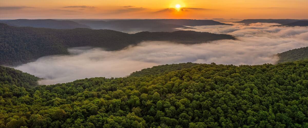 A sunrise over a forested mountain range with clouds below the treetops.