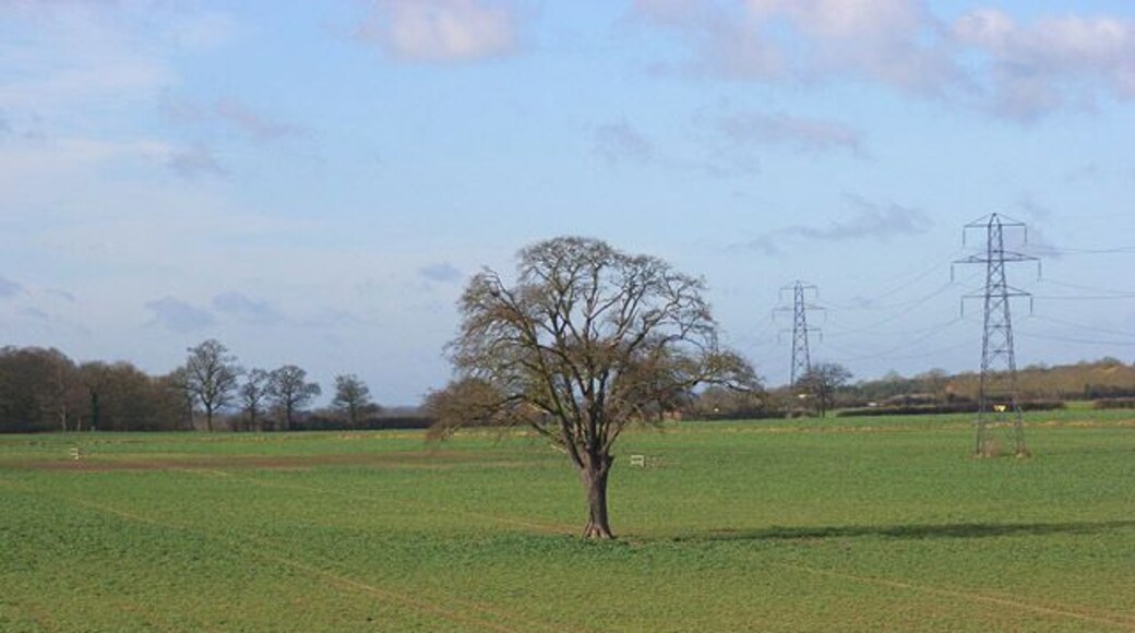 Farmland, Shurlock Row A view across oil-seed rape from the motorway bridge.