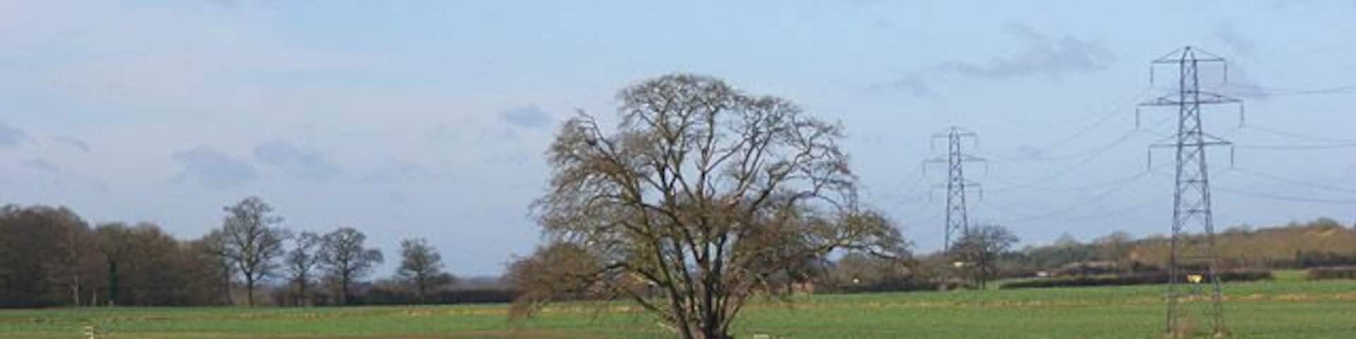 Farmland, Shurlock Row A view across oil-seed rape from the motorway bridge.