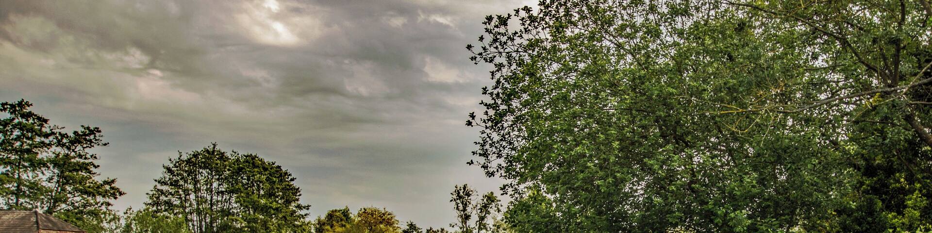 Tranquil spot near Wroxham with stunning waterside properties. In front of my boat a family of geese jump in for a swim.