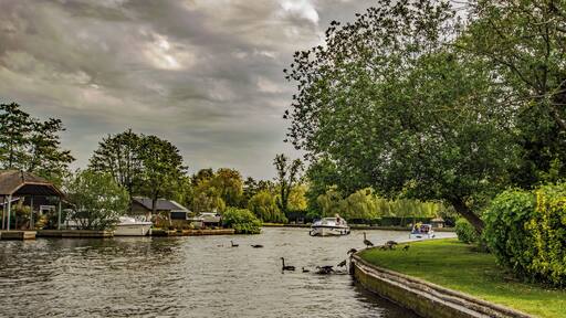 Tranquil spot near Wroxham with stunning waterside properties. In front of my boat a family of geese jump in for a swim.