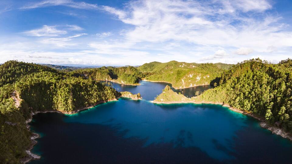 A coastal landscape with a large bay surrounded by dense forests and hills.