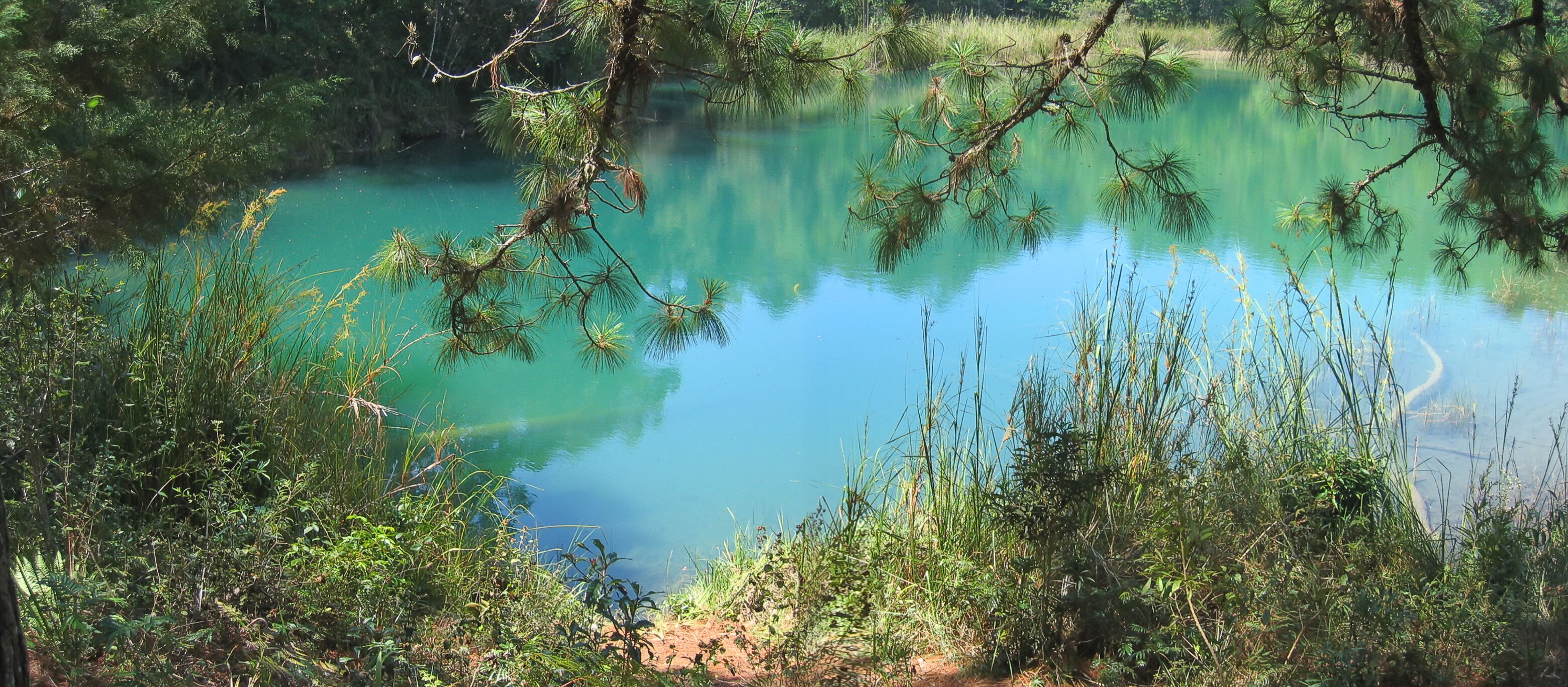 جوميث فارياس