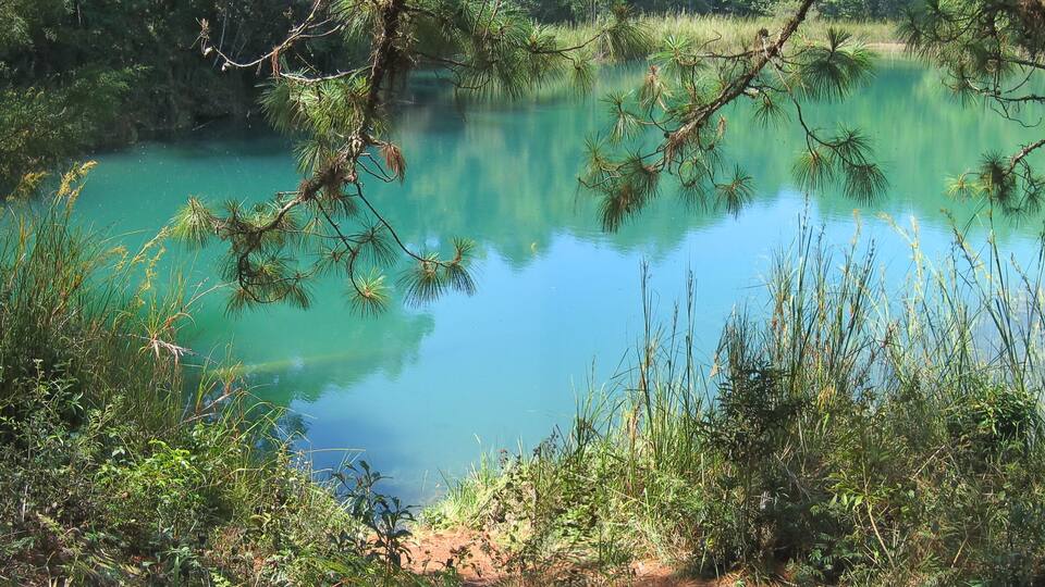 A serene lake surrounded by dense greenery and pine trees.