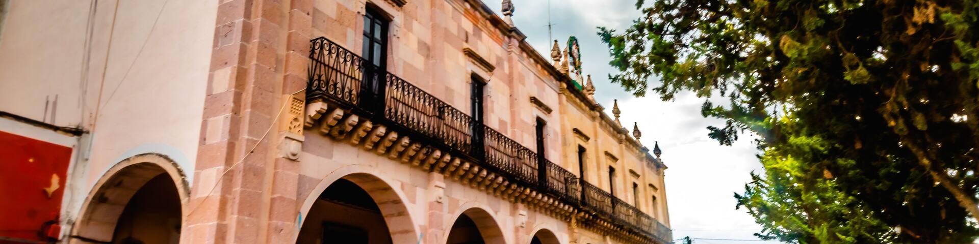 colonial building in cloudy day with three in foreground , city hall in monte escobedo zacatecas