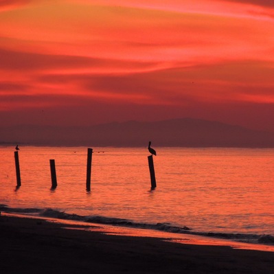 This beach is blessed with the perfect angle of sunrises and sunsets - which is a surprise when you don't expect your whole world to turn red your first morning camping there
#adventure
#roadtrip #overlanding #sunrise #panamerican #beaches