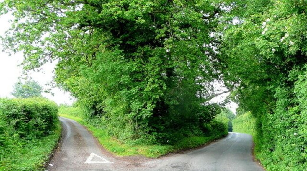 Fork in the road Gypsy lane to the left, Brobury Lane to the right.