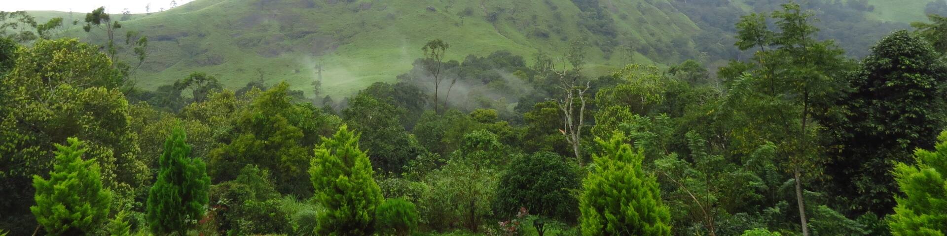 Photos from Gavi, a forest area in Kerala, India