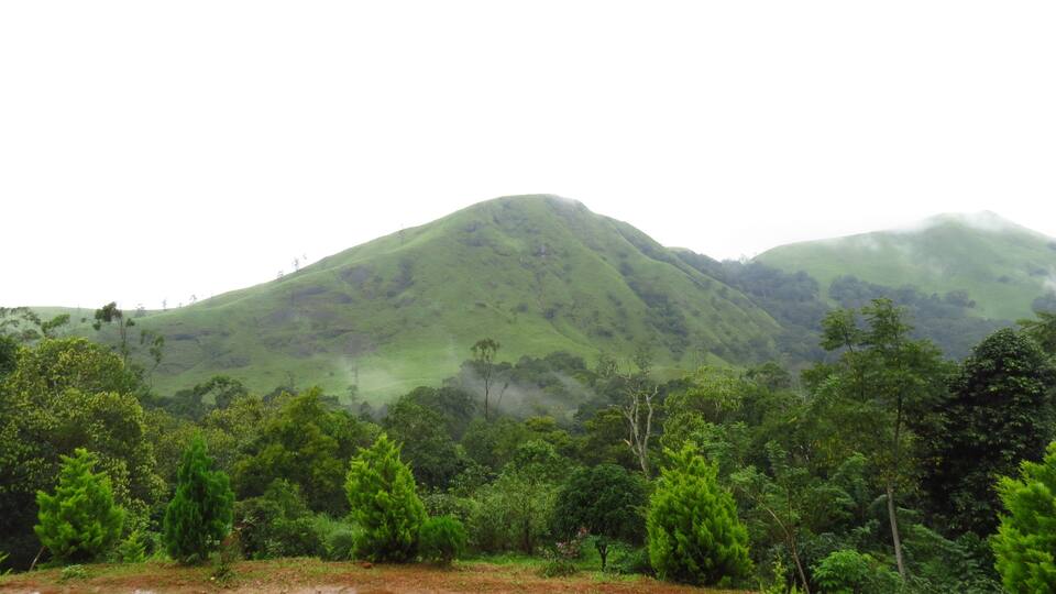 A lush green mountain with dense forest in the foreground.