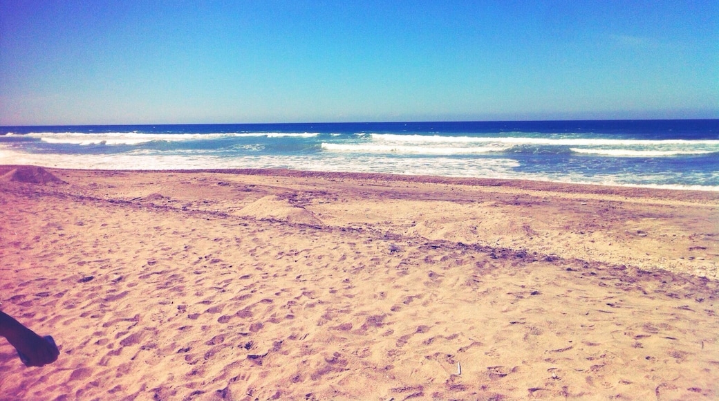 Clear skies, blue skies. #beach