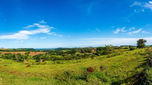 Fazenda Santa Helena, Itatinga, Pólo Cuesta