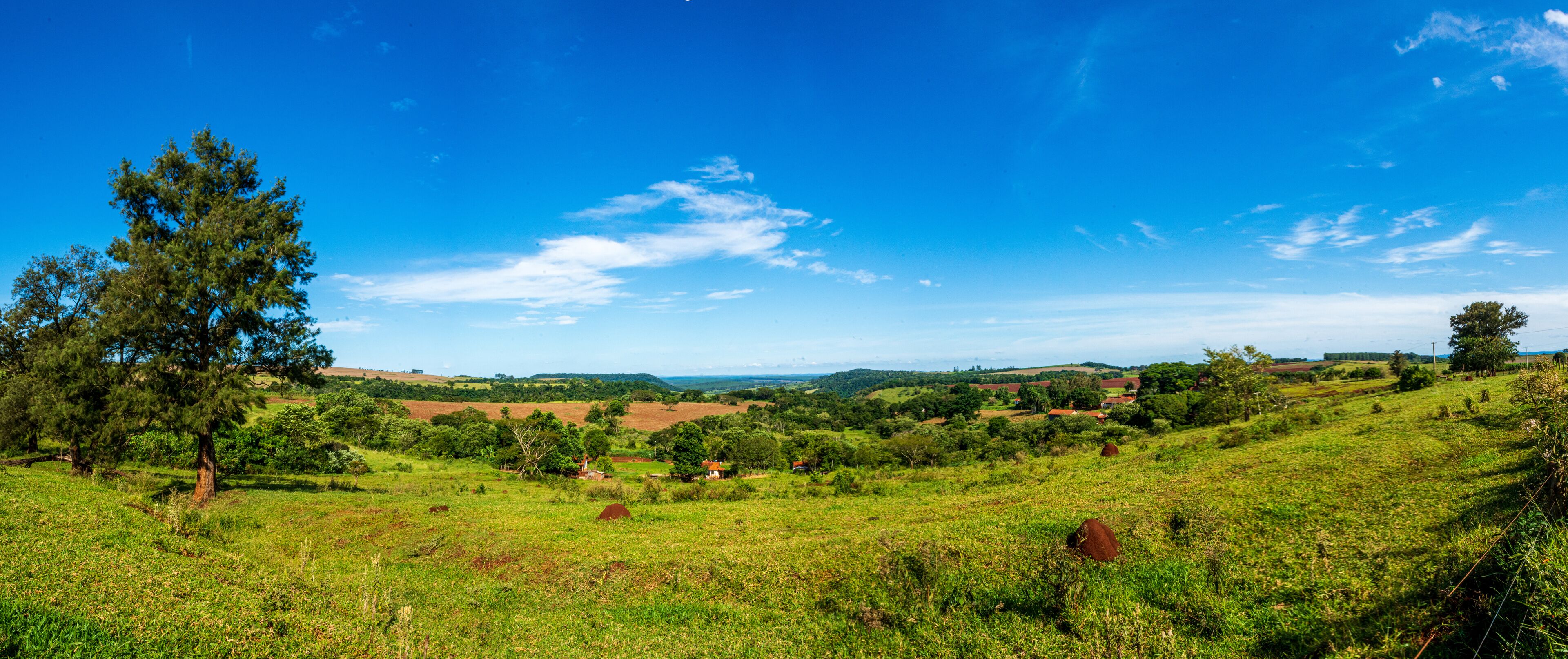 A lush green landscape with rolling hills, scattered trees, and a clear blue sky.