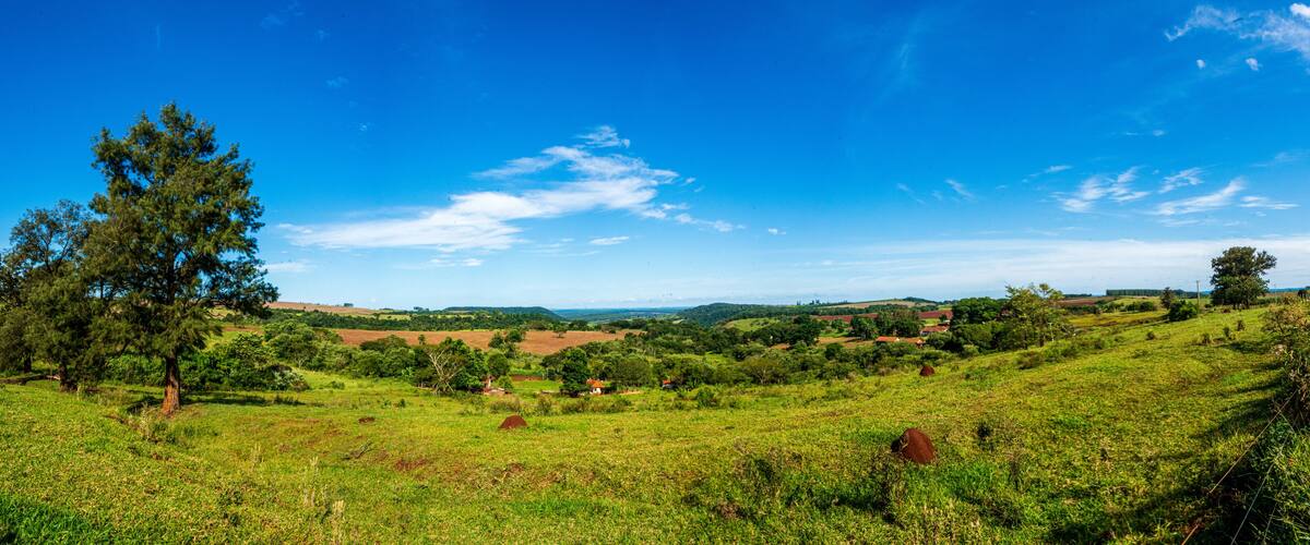 A lush green landscape with rolling hills, scattered trees, and a clear blue sky.