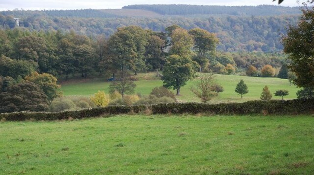 Across the fields to Chatsworth golf course In front of the woodland in the centre of the picture, is part of the 9 hole golf course attached to the Chatsworth Estate. Good quality grazing is in the foreground.