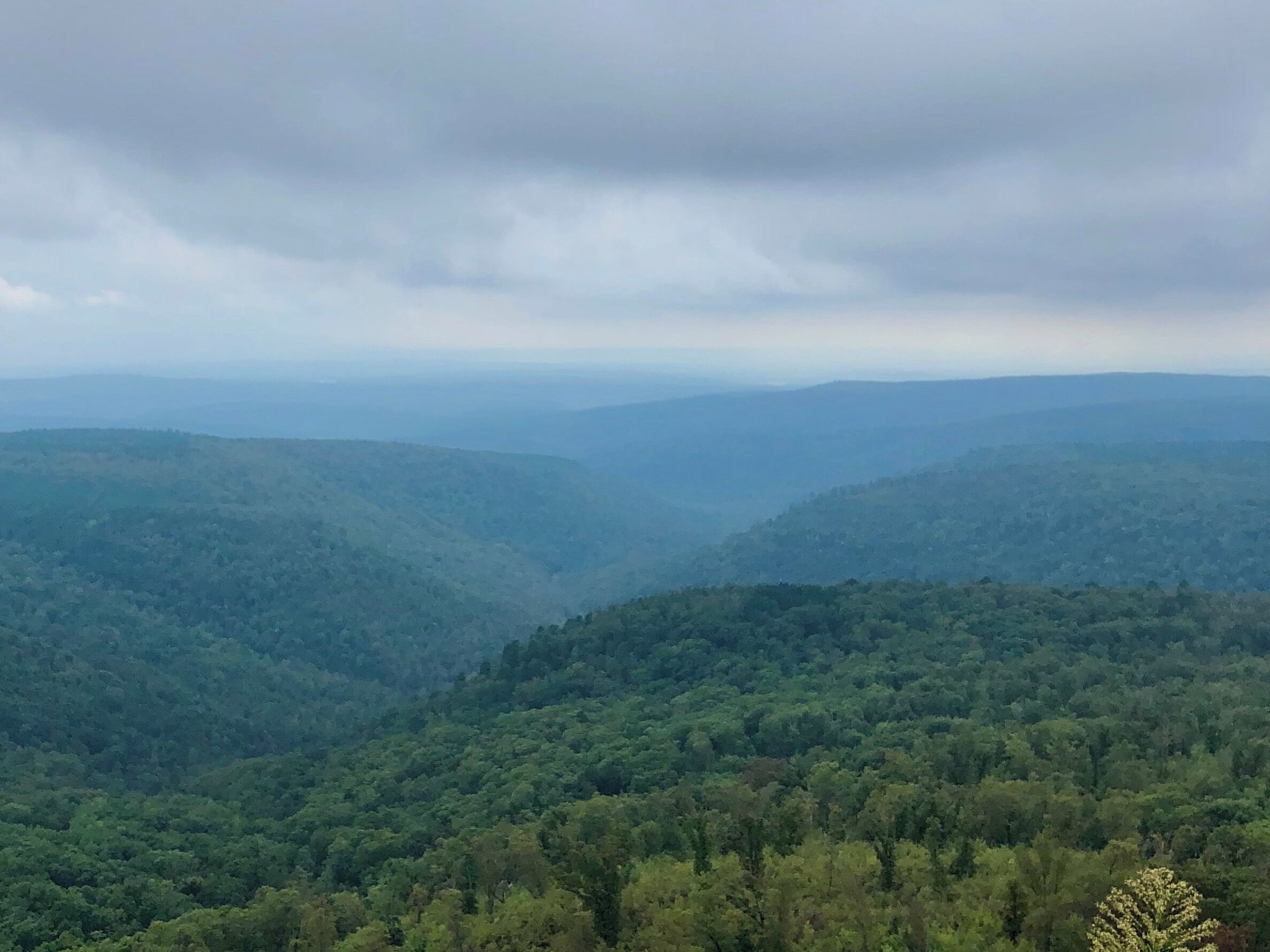 One of the most beautiful views in the Ozarks #arkansas #ozarks