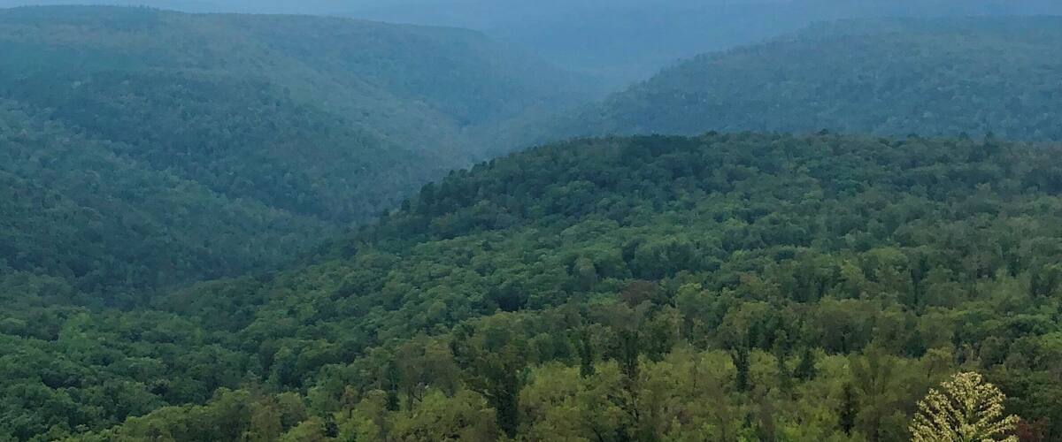 A valley with dense forested hills and a cloudy sky.
