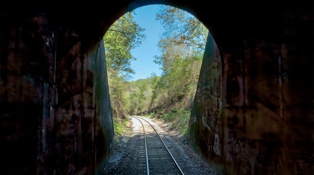 Una vía de tren atraviesa un túnel de piedra con árboles a ambos lados.
