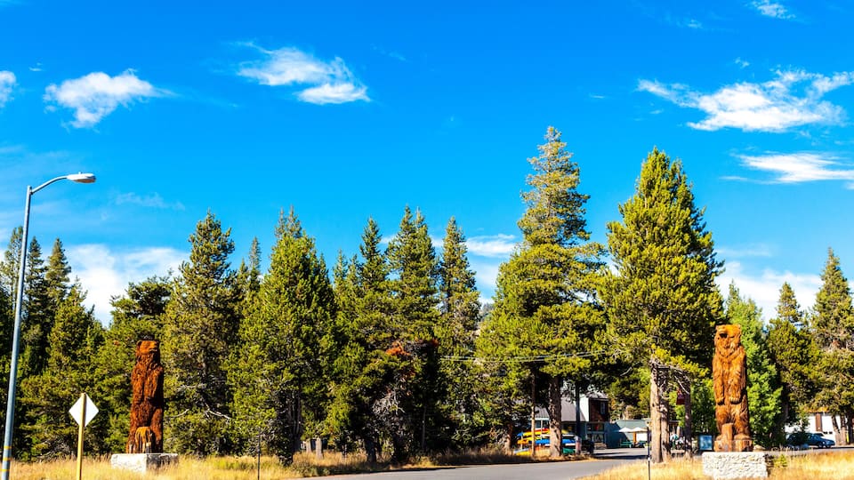A road with two large bear statues on either side, surrounded by tall evergreen trees under a clear blue sky.